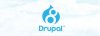 О том как заменить стандартный прогрессбар в Drupal 8